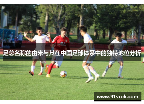 足总名称的由来与其在中国足球体系中的独特地位分析
